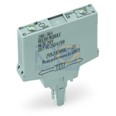 Relay module, Nominal input voltage: 24 VDC, 1 make contact, gray