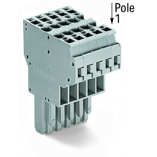 2-conductor female connector, CAGE CLAMP&reg;, 4 mm&sup2;, gray