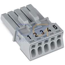 Socket, 5-pole, Cod. B, gray