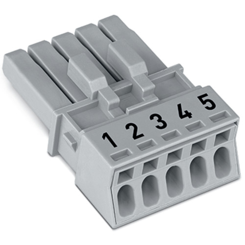 Socket, 5-pole, Cod. B, gray