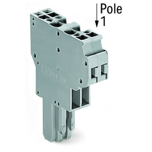 2-conductor female connector, CAGE CLAMP&reg;, 4 mm&sup2;, gray