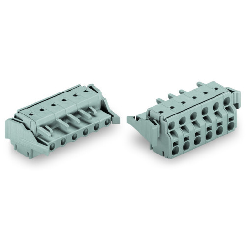2-conductor female connector, Push-in CAGE CLAMP&reg;, 2.5 mm&sup2;, gray
