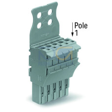1-conductor female connector, Push-in CAGE CLAMP&reg;, 4 mm&sup2;, gray