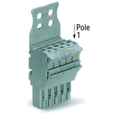 1-conductor female connector, Push-in CAGE CLAMP&reg;, 4 mm&sup2;, gray