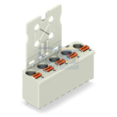 1-conductor THT female connector straight, push-button, Push-in CAGE CLAMP&reg;, light gray