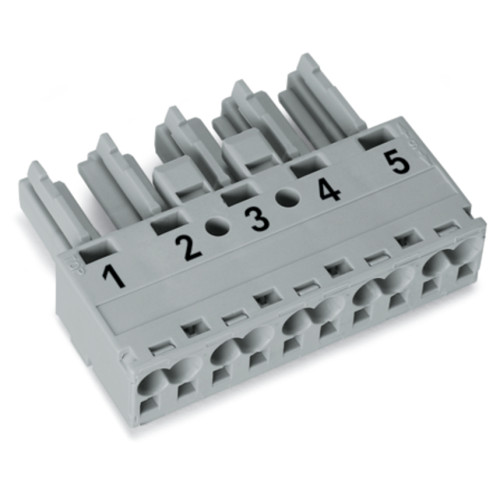 Socket, 5-pole, Cod. B, gray