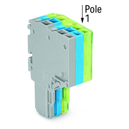 2-conductor female connector, Push-in CAGE CLAMP&reg;, 1.5 mm&sup2;, gray/blue/green-yellow