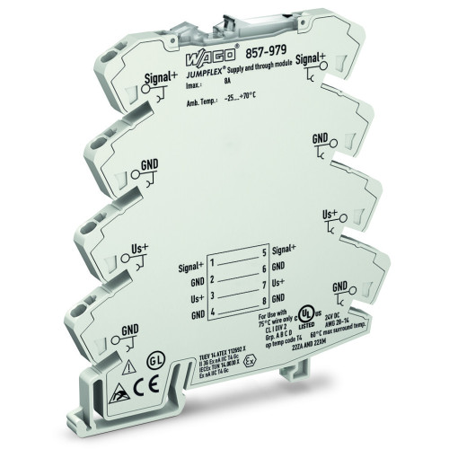 Supply and through module