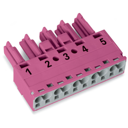 Socket, 5-pole, Cod. B, pink
