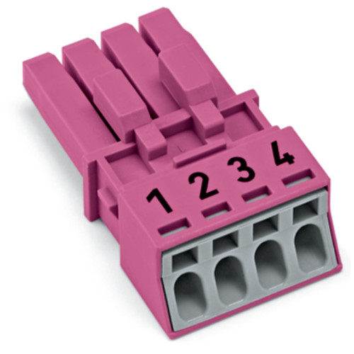 Socket, 4-pole, Cod. B, pink
