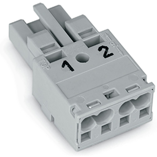 Socket, 2-pole, Cod. B, gray