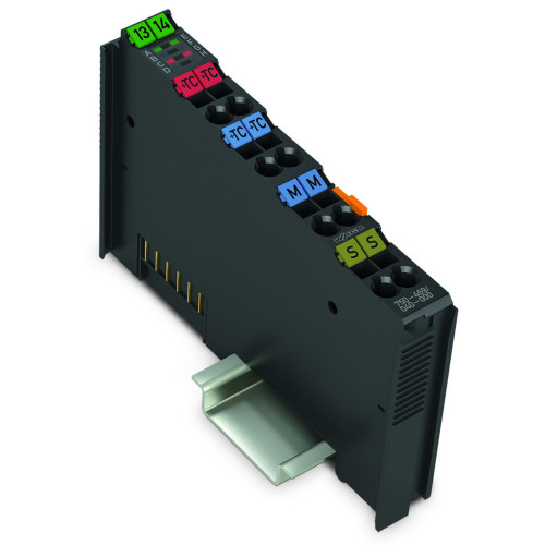 2-channel analog input, Thermocouple, Adjustable, dark gray