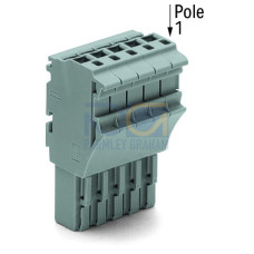 1-conductor female connector, Push-in CAGE CLAMP&reg;, 4 mm&sup2;, gray