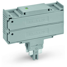 Double fuse plug, for 5 x 20 mm miniature metric fuse, with indicator lamp, gray