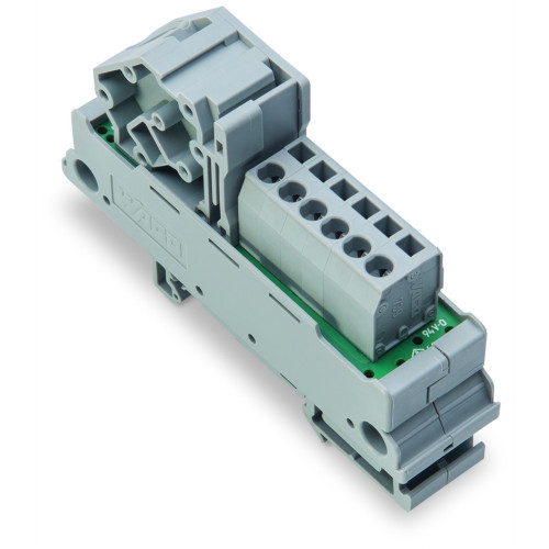 Potential distribution module, 1 potential, with 1 input clamping point, gray