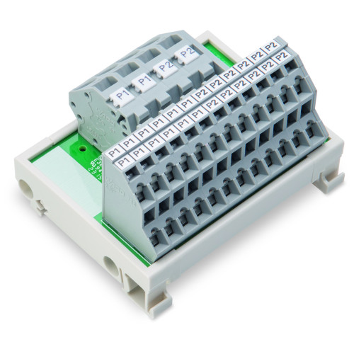 Potential distribution module, 2 potentials, with 2 input clamping points each, gray