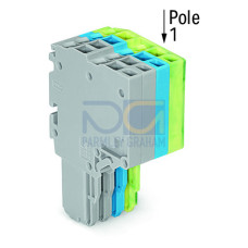 2-conductor female connector, Push-in CAGE CLAMP&reg;, 1.5 mm&sup2;, gray/blue/green-yellow