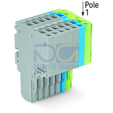 2-conductor female connector, Push-in CAGE CLAMP&reg;, 1.5 mm&sup2;, gray/blue/green-yellow