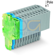 2-conductor female connector, Push-in CAGE CLAMP&reg;, 1.5 mm&sup2;, green-yellow/blue/gray