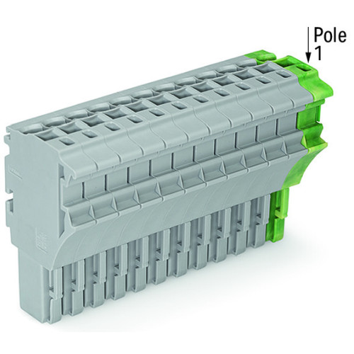 1-conductor female connector, Push-in CAGE CLAMP&reg;, 4 mm&sup2;, green-yellow/gray