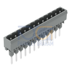 Male connector for rail-mount terminal blocks, 1.2 x 1.2 mm pins, straight, gray