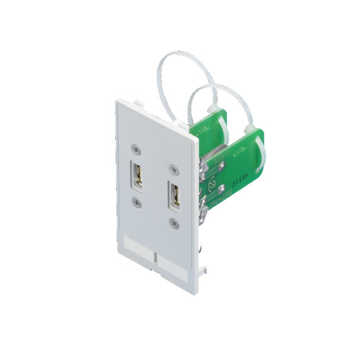 SZ Interface flap, modular, interface inserts, 2 x USB A, jack/jack