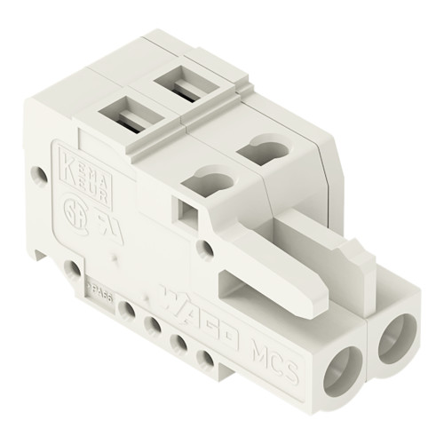 1-conductor female connector, CAGE CLAMP, 2.5 mm, Pin spacing 5 mm, 2-pole, 100% protected against m