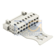 1-conductor male connector, CAGE CLAMP&reg;, 2.5 mm&sup2;, light gray