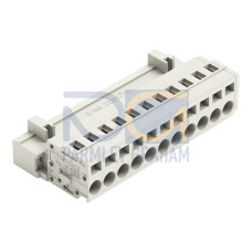 1-conductor male connector, CAGE CLAMP&reg;, 2.5 mm&sup2;, light gray