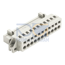 1-conductor male connector, CAGE CLAMP&reg;, 2.5 mm&sup2;, light gray