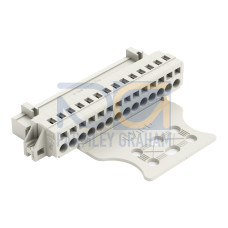 1-conductor male connector, CAGE CLAMP&reg;, 2.5 mm&sup2;, light gray