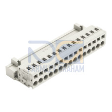 1-conductor male connector, CAGE CLAMP&reg;, 2.5 mm&sup2;, light gray