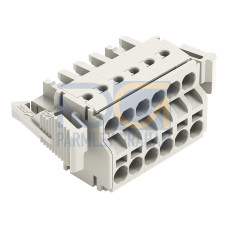 2-conductor female connector, Push-in CAGE CLAMP&reg;, 2.5 mm&sup2;, light gray
