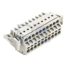 2-conductor female connector, Push-in CAGE CLAMP&reg;, 2.5 mm&sup2;, light gray