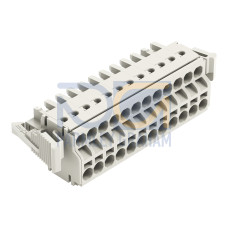 2-conductor female connector, Push-in CAGE CLAMP&reg;, 2.5 mm&sup2;, light gray