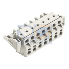 2-conductor female connector, Push-in CAGE CLAMP&reg;, 2.5 mm&sup2;, light gray