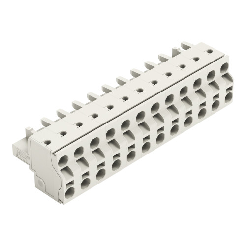 2-conductor female connector, Push-in CAGE CLAMP&reg;, 2.5 mm&sup2;, light gray