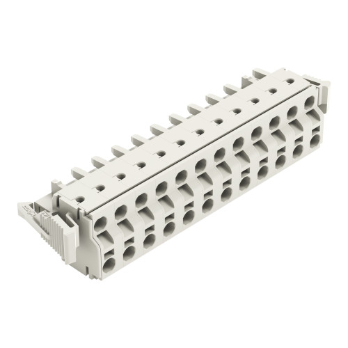 2-conductor female connector, Push-in CAGE CLAMP&reg;, 2.5 mm&sup2;, light gray