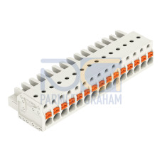 1-conductor female connector, push-button, Push-in CAGE CLAMP&reg;, light gray