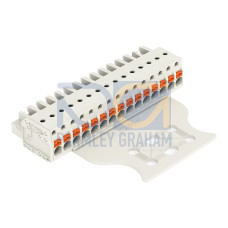 1-conductor female connector, push-button, Push-in CAGE CLAMP&reg;, light gray