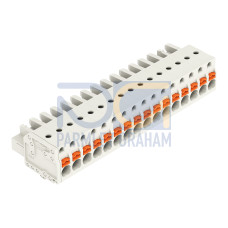 1-conductor female connector, push-button, Push-in CAGE CLAMP&reg;, light gray