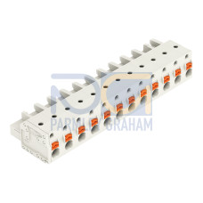 1-conductor female connector, push-button, Push-in CAGE CLAMP&reg;, light gray