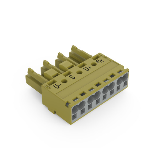 Socket, 4-pole, Cod. B, light green