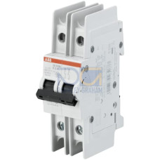 SU202M-Z16 Miniature Circuit Breaker - 2P - Z - 16 A