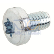 RZ12P500 Screw, 6 mm x 6 mm x 10 mm