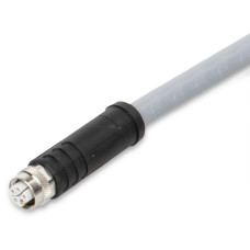 Power cable, M12L socket, straight, 5-pole, Length: 2 m
