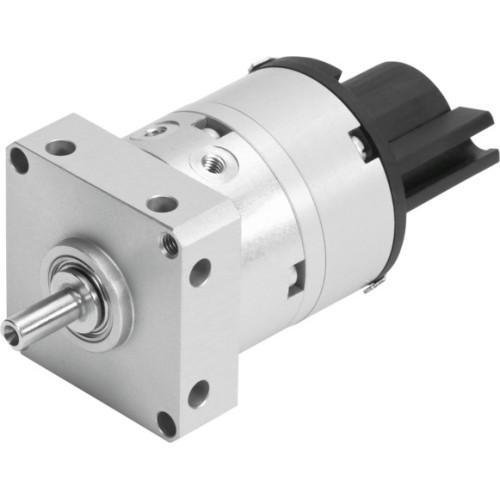 DSM-10-240-P-A-FF Semi-rotary drive