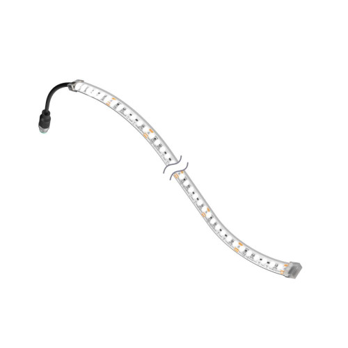 WLF12 Flexible Strip: 3000, 24 V dc, IP66, IP67, IP69K, Daylight White, Clear, Non-Cascadable, 150 (6 in) 4-pin M12 PVC Pigtail QD