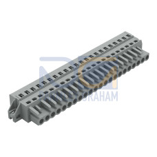 1-conductor female connector, CAGE CLAMP&reg;, 2.5 mm&sup2;, gray