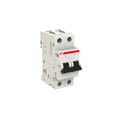 S202M-B20 Miniature Circuit Breaker - 2P - B - 20 A